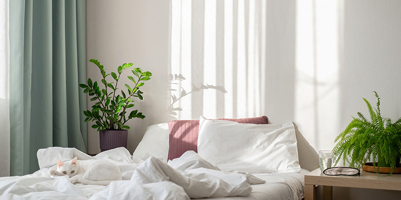 あなたのストレス解消法は何?ストレスには「睡眠ファースト」が効果的!